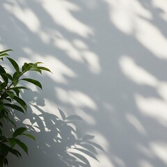 Sunlight's Embrace