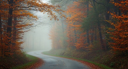 An empty road leading into a mysterious foggy autumn forest with colorful trees on a misty morning travel journey path perspective fall