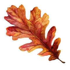 Fototapeta premium A close-up view of a beautifully rendered, digitally painted autumn oak leaf against a black background