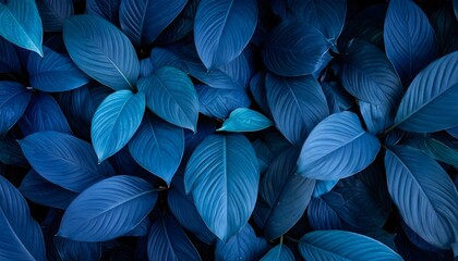 Fototapeta premium Deep Indigo Foliage: A Dense Cluster of Tropical Leaves in Moody Lighting