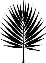 set of coconut  leaves silhouettes, vector silhouette of a leaf, feather, vector, illustration, bird, leaf, pen, art, pattern, nature, quill, design, decoration, silhouette, symbol, set, wing, plant, 