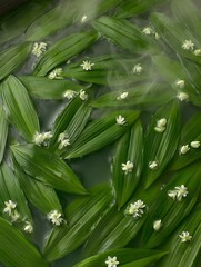 Obraz premium Serene Spa Setting Lush Green Leaves and Delicate White Flowers Floating on Water.