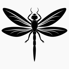 Elegant black silhouette of a dragonfly with open wings viewed from above isolated on white background