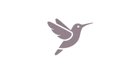 hummingbird in flight