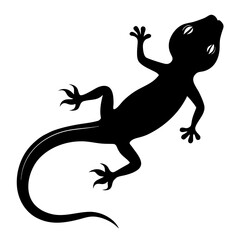 Obraz premium Top down silhouette of a crawling lizard a simple and clean vector graphic isolated on white background