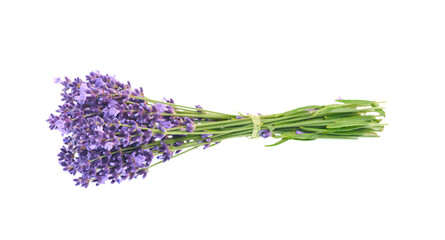 Lavender flower isolated on a white background. Bunch of purple, scented flowers.	
