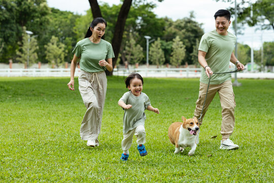 An Energetic young boy and Corgi enjoying active moments with family at the park