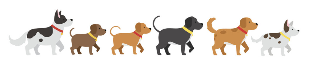 set of funny animals