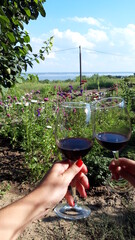 Stock photo of female hands holding glasses of wine against the background of a flower bed and a river