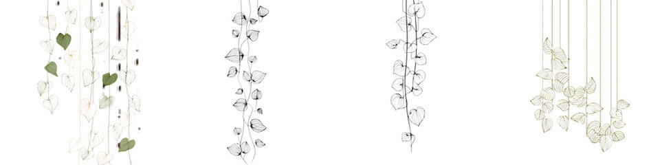 Fototapeta premium Hanging Plant Vines Illustrations: Botanical Art for Decor