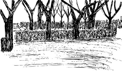 Quick sketch of wetlands and grassy undergrowth