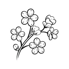 Fototapeta premium Cherry blossom branch with delicate flowers and buds sakura twig
