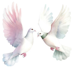 Obraz premium Two white s flying in the air with detailed feathers and soft pastel colors on a plain white background