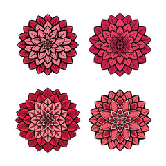 Four red floral mandalas on white background pink petals