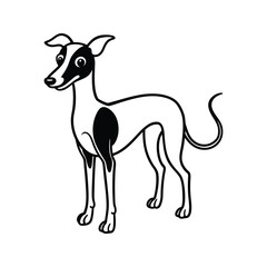Italian Greyhound standing black and white silhouette canine animal