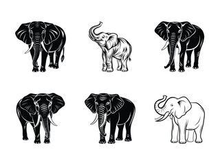 Six elephant illustrations black white elephants drawing