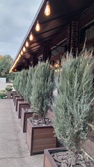 Beautiful front of the restaurant, porch with lamps and small trees growing nearby
