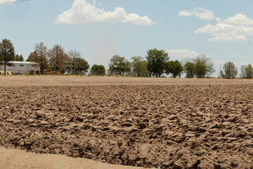 Plowed field extending towards trees under cloudy sky on sunny day