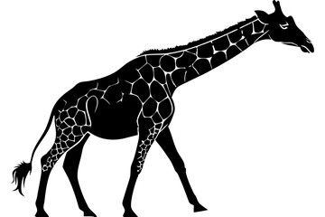 Naklejka premium A black silhouette of a giraffe walking