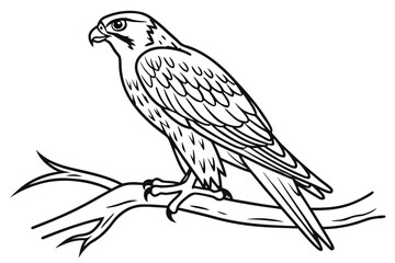 Obraz premium A falcon perches on a branch in this outline drawing