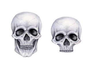 The human skull is isolated. Handmade watercolor illustration in gray tones.