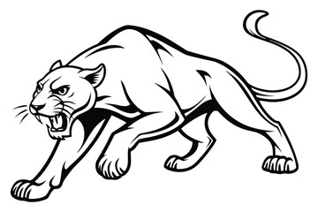 Obraz premium Fierce panther stalking isolated on white background