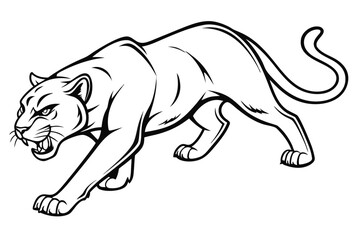 Obraz premium Fierce panther stalking isolated on white background