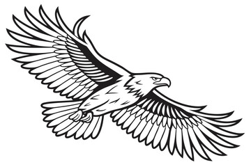 Obraz premium An eagle soars with wings spread wide in flight