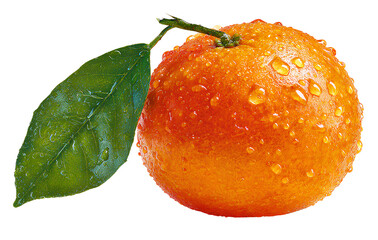 Whole Orange with Water Droplets and Leaf Stem, Front View, Isolated on Transparent Background
