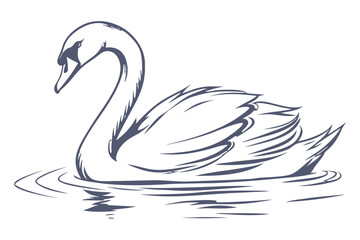 An elegant swan gracefully swimming on the water