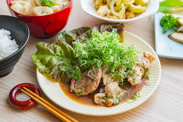 九条ネギをたくさんのせた焼肉