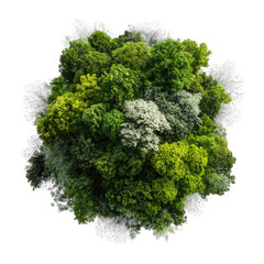 Obraz premium Sphere of diverse moss, vibrant greens, and light gray