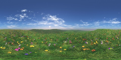 Panorama of a flower meadow, flower hills view, HDRI, environment map , Round panorama, spherical panorama, equidistant projection, panorama 360, 3d rendering