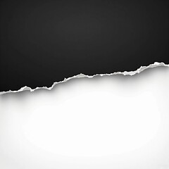 A high-resolution image of a realistic torn paper edge separating a black upper section and a white lower section. The ripped effect creates a dramatic contrast and is ideal for creative design.