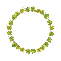 Circular frame of vibrant green grapevine leaves and brown tendrils isolated on transparent background, forming a natural border. Nature-themed clipart.