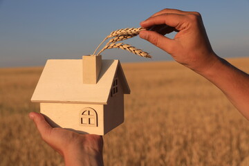 Hand holding a dummy house with ears of wheat in a field