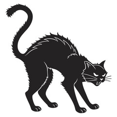 black cat vector illustration