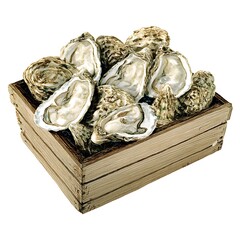 Fresh Oysters in a Rustic Wooden Crate, a High Quality Illustration.