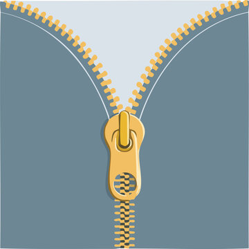 Cute zipper flat vector