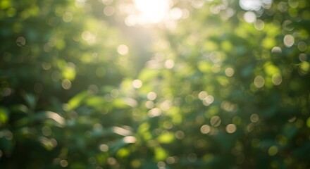 Obraz premium Fresh Green Maple Leaves with Sunlight and Bokeh Background