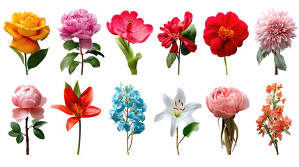 Floral Kaleidoscope: A stunning collage of vibrant blossoms, each bloom showcasing unique colors, forms, and textures, creating a symphony of natural beauty. 