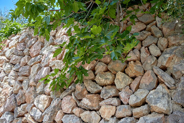 Stacked stone wall with natural rough rocks in warm beige and pink tones, partly shaded by green...
