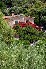 Rustic stone house with red tile roof, covered in blooming bougainvillea, surrounded by green hills...