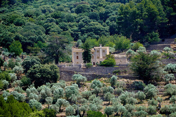 Elegant pale villa stands among terraced olive trees and lush forested hills, with stone walls and...