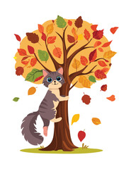 Grumpy Cat Among Orange Autumn Leaves