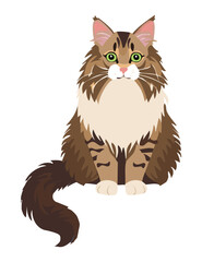 Cute Brown White Cat Sitting Peacefully