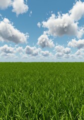 Obraz premium 碧空と緑の交響曲