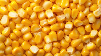 Close-up of vibrant yellow corn kernels