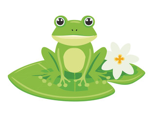 Sweet Frog on Lily Pad with White Flower