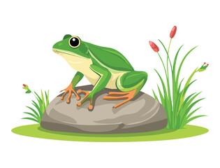 Green Frogs Resting on a Rock